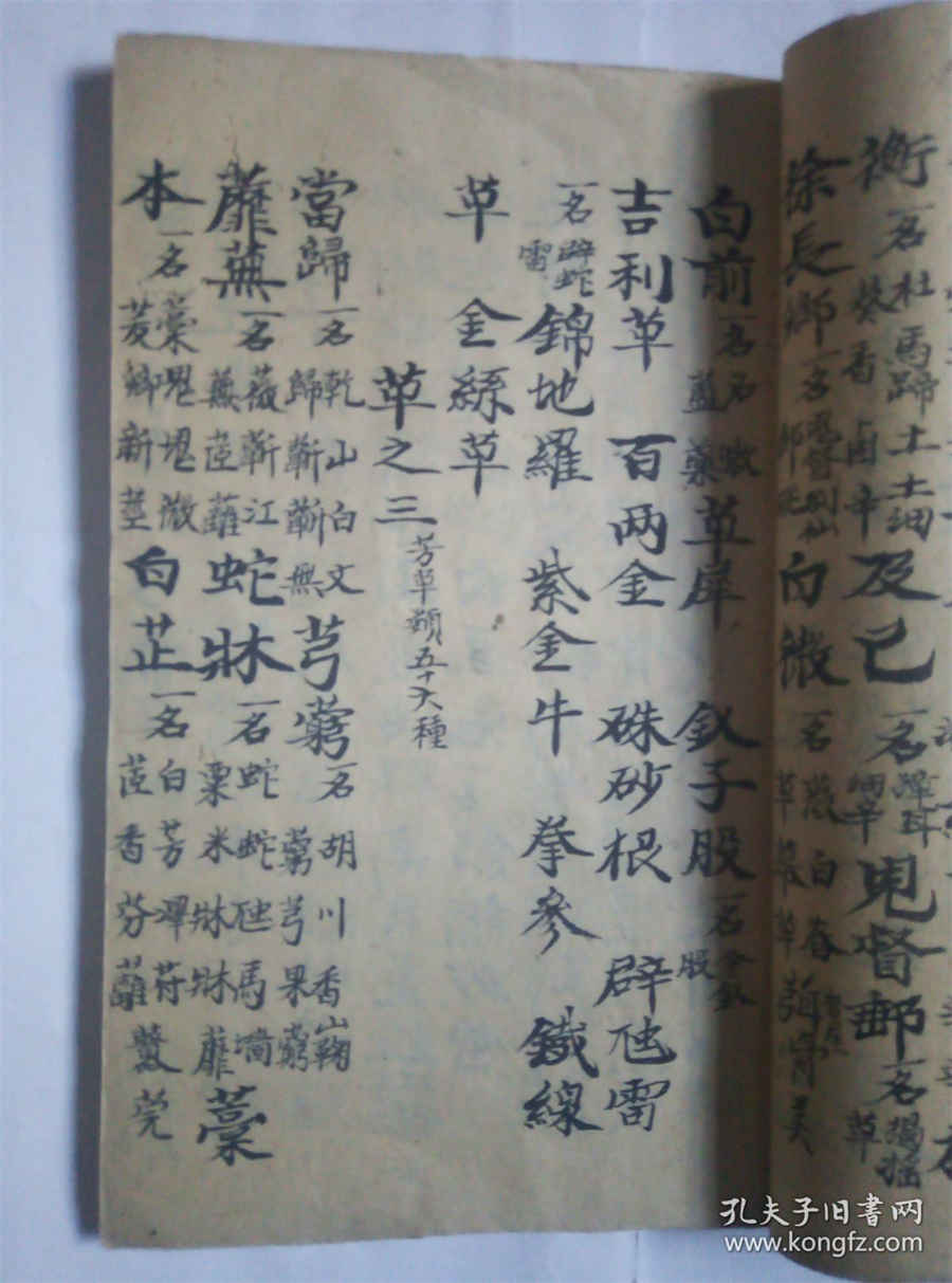 新鲜黄精价格多少钱一斤中药材价格 新鲜黄精价格多少钱一斤中药材价格