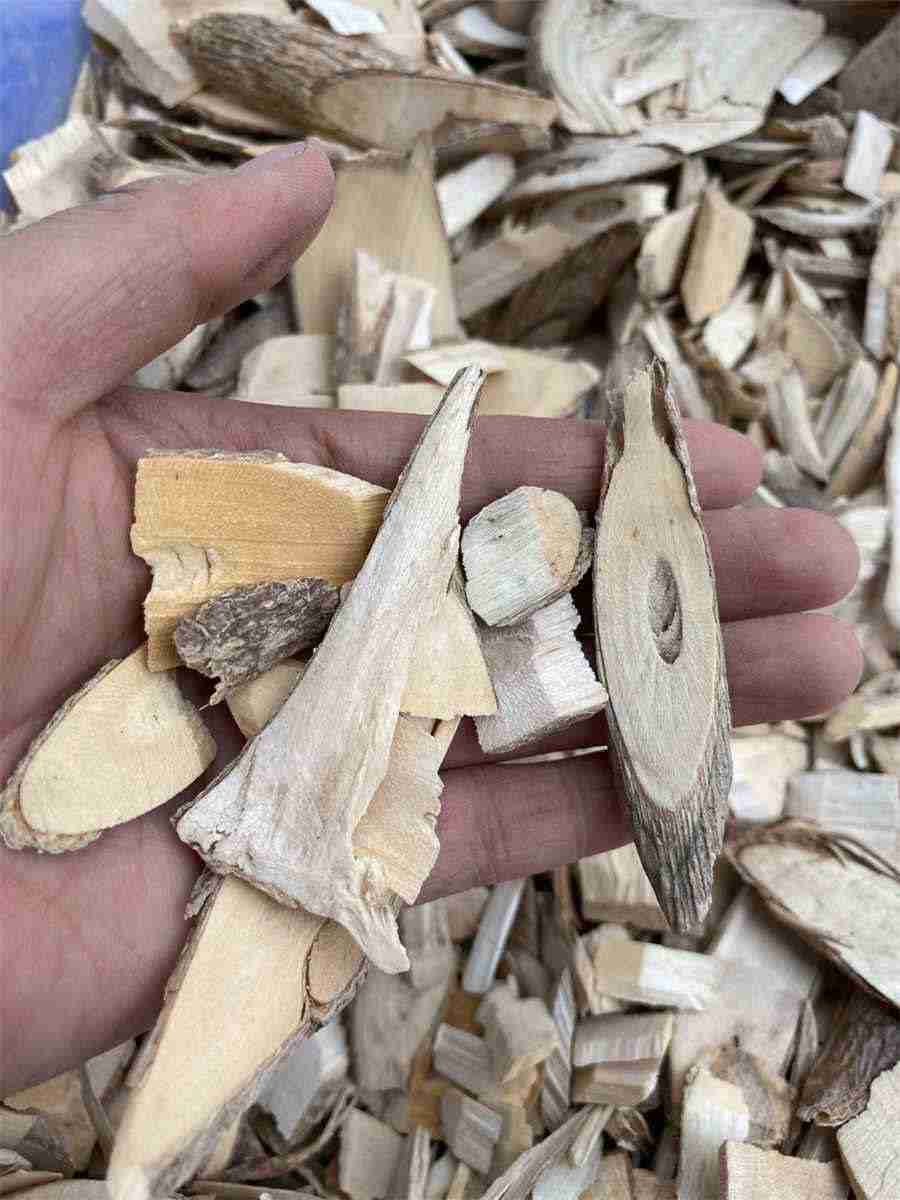 文山三七长什么样?三七田七整株图片详解三七知识三七粉百科 文山三七长什么样?三七田七整株图片详解三七知识三七粉百科