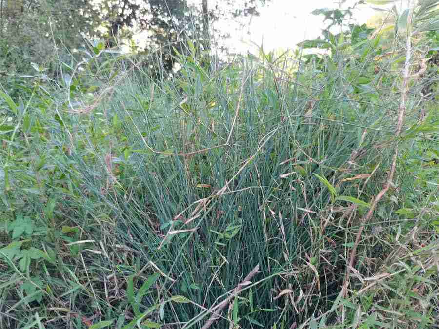 最简易的冰山怎么画 最简易的冰山怎么画