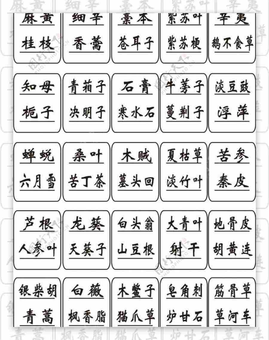 黄芩 黄芩中药查询 黄芩中药 黄芩 黄芩中药查询 黄芩中药