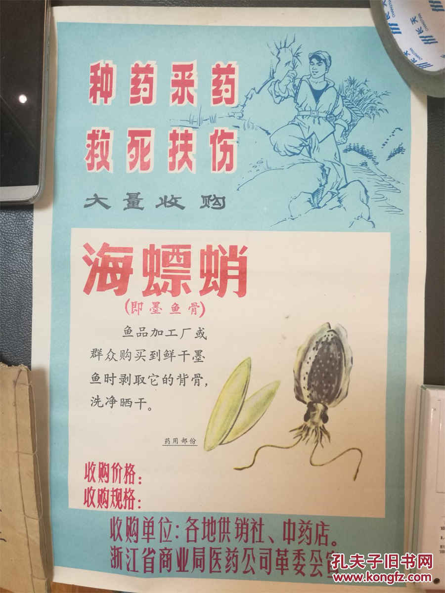 25.1 嘌呤核苷酸的代谢 嘌呤核苷酸到尿酸的代谢途径 25.1 嘌呤核苷酸的代谢 嘌呤核苷酸到尿酸的代谢途径
