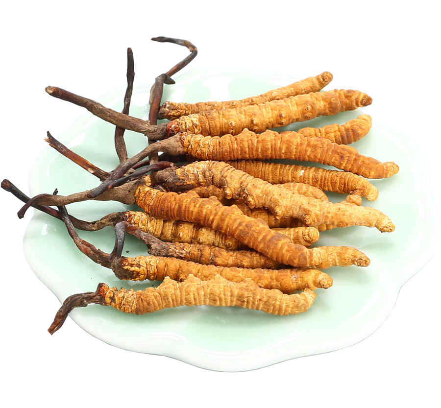 ACEI类药物的安全使用 ACEI类药物的安全使用