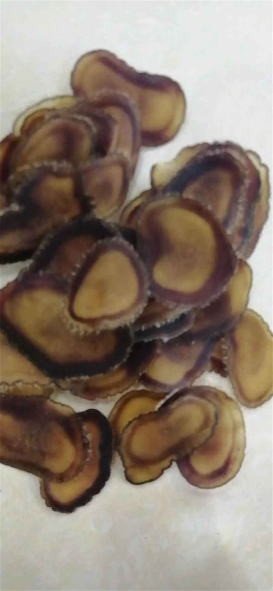 摩洛哥在哪个洲 摩洛哥在哪里 摩洛哥在哪个洲 摩洛哥在哪里