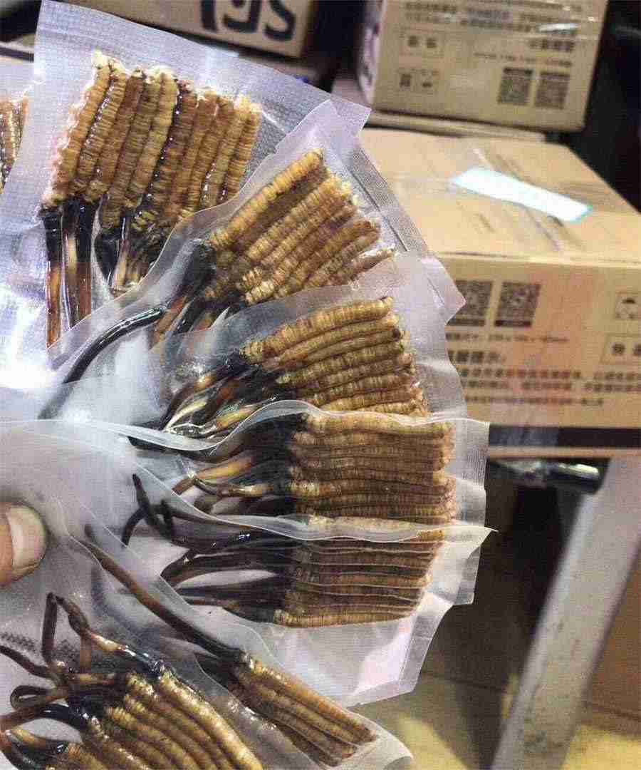 为什么要吃石斛?吃石斛的好处有哪些?中药材功效大全 吃石斛到底有什么好处 为什么要吃石斛?吃石斛的好处有哪些?中药材功效大全 吃石斛到底有什么好处