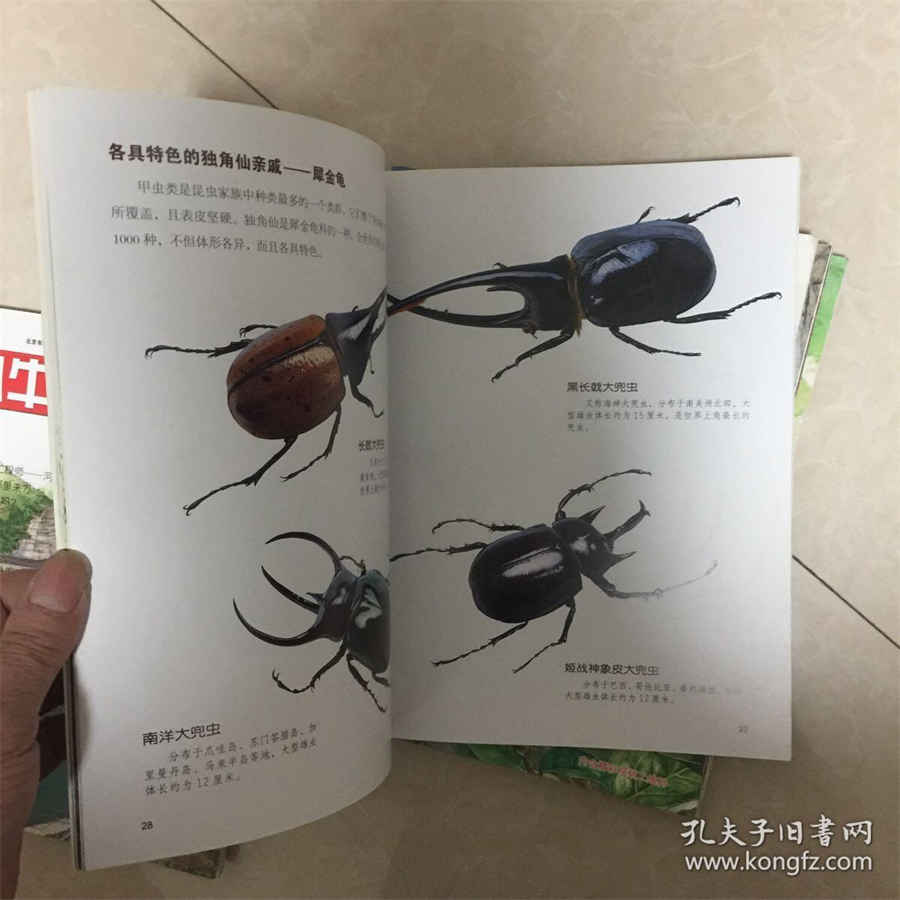 【伐昔洛韦胶囊】 伐昔洛韦片的用法 【伐昔洛韦胶囊】 伐昔洛韦片的用法