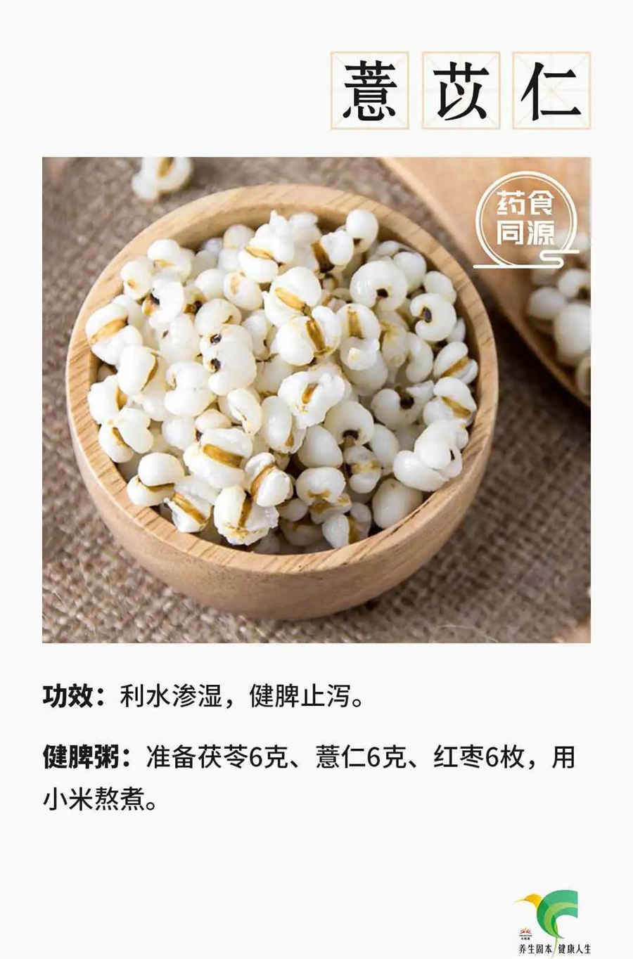 何首乌能治脱发吗?教你治脱发的吃法中药材知识 何首乌能治脱发吗?教你治脱发的吃法中药材知识
