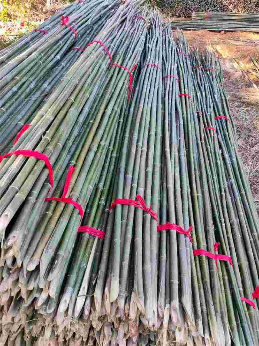 行业真正的高手心理咨询师都是雌雄同体! 行业真正的高手心理咨询师都是雌雄同体!