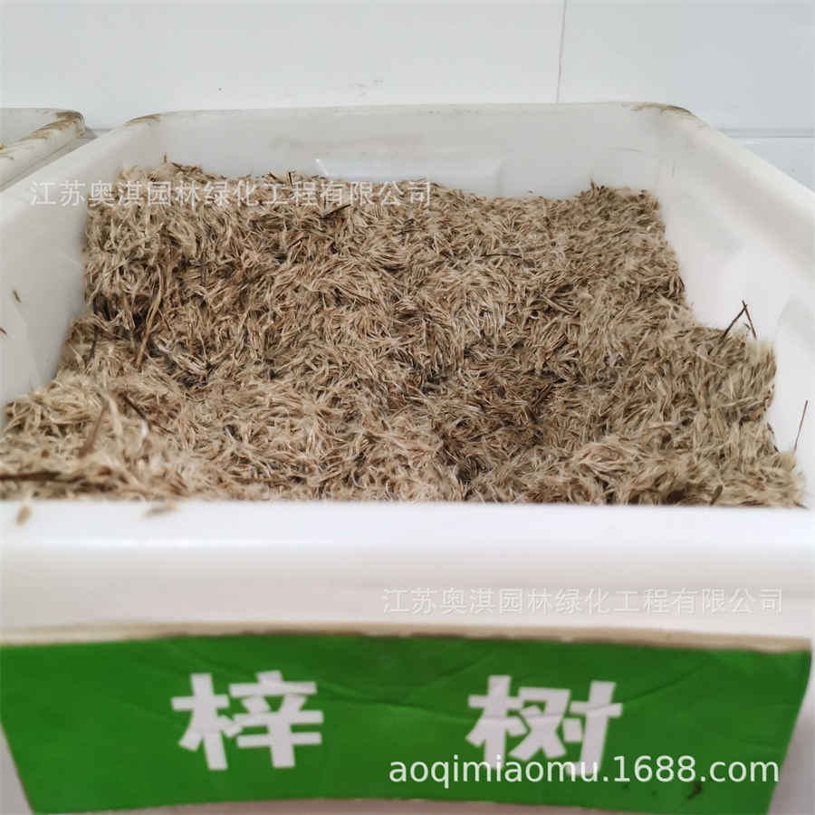 干鳗鱼怎么做好吃(干鳗鱼怎么做好吃鱼的做法) 干鳗鱼怎么做好吃(干鳗鱼怎么做好吃鱼的做法)