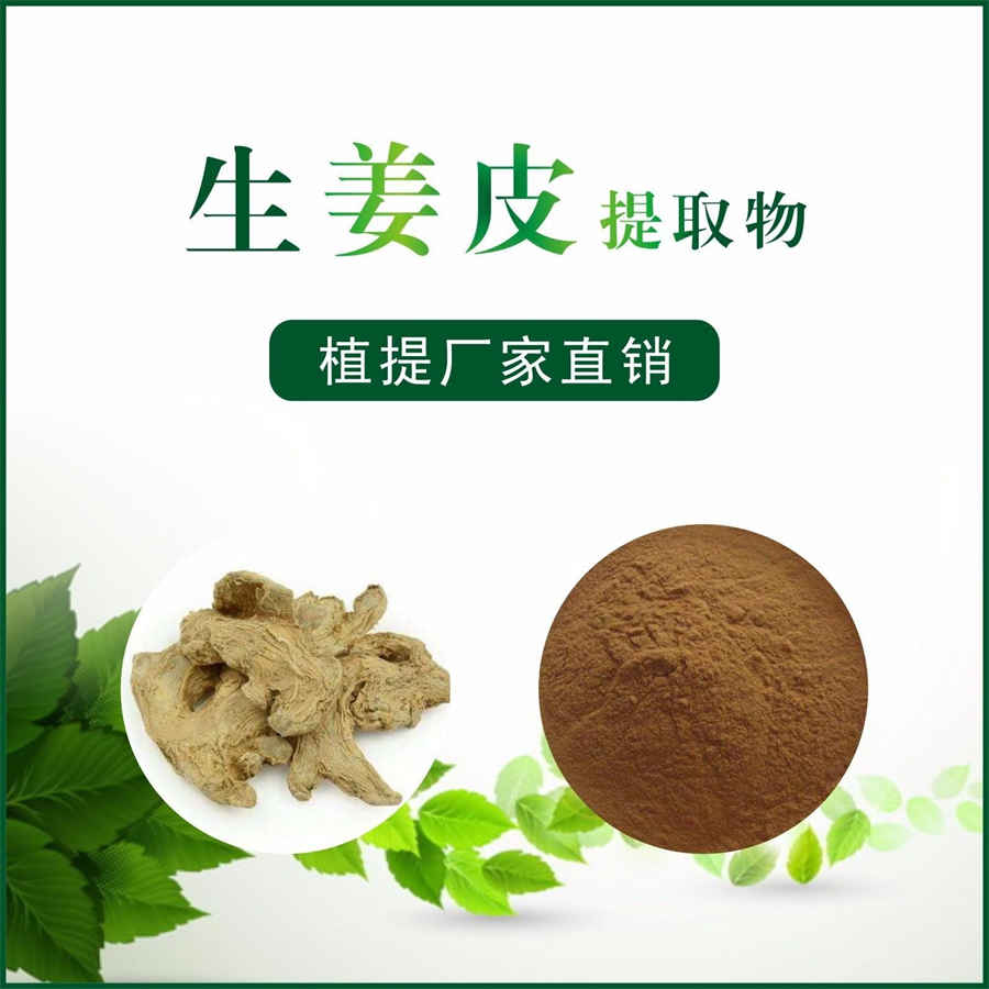人生本来就没有意义 人生没有意义 人生本来就没有意义 人生没有意义
