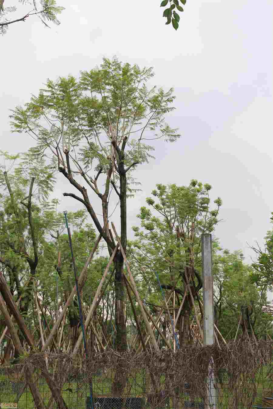 违法违规家庭公寓在哪投诉 公寓违法行为 违法违规家庭公寓在哪投诉 公寓违法行为