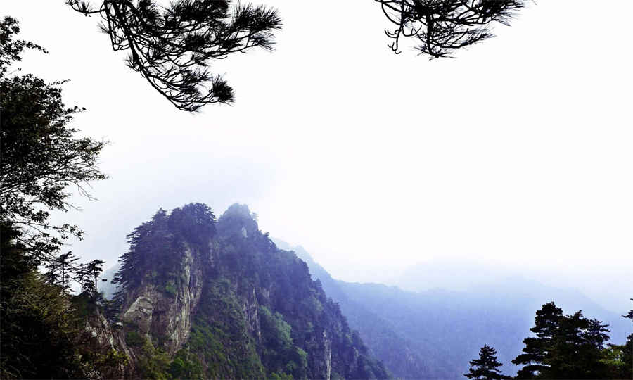 股票仓位是什么意思 股票仓位具体是什么意思 股票仓位是什么意思 股票仓位具体是什么意思