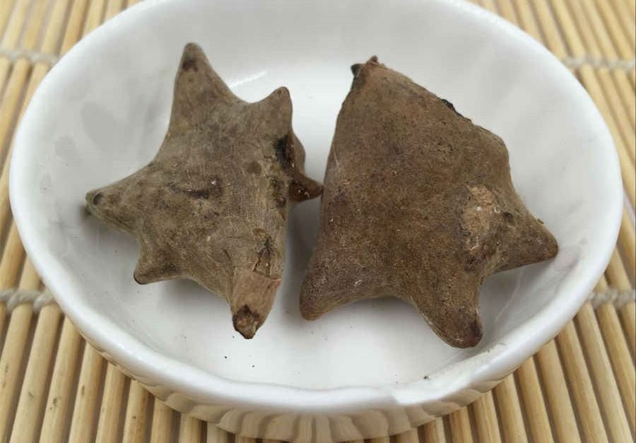 黄精对阴茎好处能补肾助阴经勃起不?中药材知识 黄精对阴茎好处能补肾助阴经勃起不?中药材知识