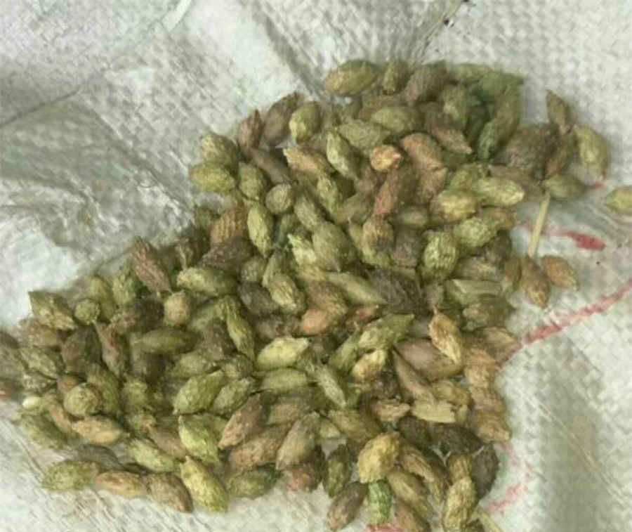 谈谈seo论坛优化方法 seo研究中心论坛 谈谈seo论坛优化方法 seo研究中心论坛