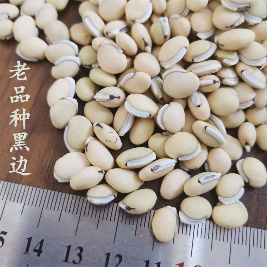 刑拘是什么意思是不是要判刑(刑事拘留一般是多长时间?被刑拘意味着什么?) 刑拘37天不批捕是否就没事了 刑拘是什么意思是不是要判刑(刑事拘留一般是多长时间?被刑拘意味着什么?) 刑拘37天不批捕是否就没事了
