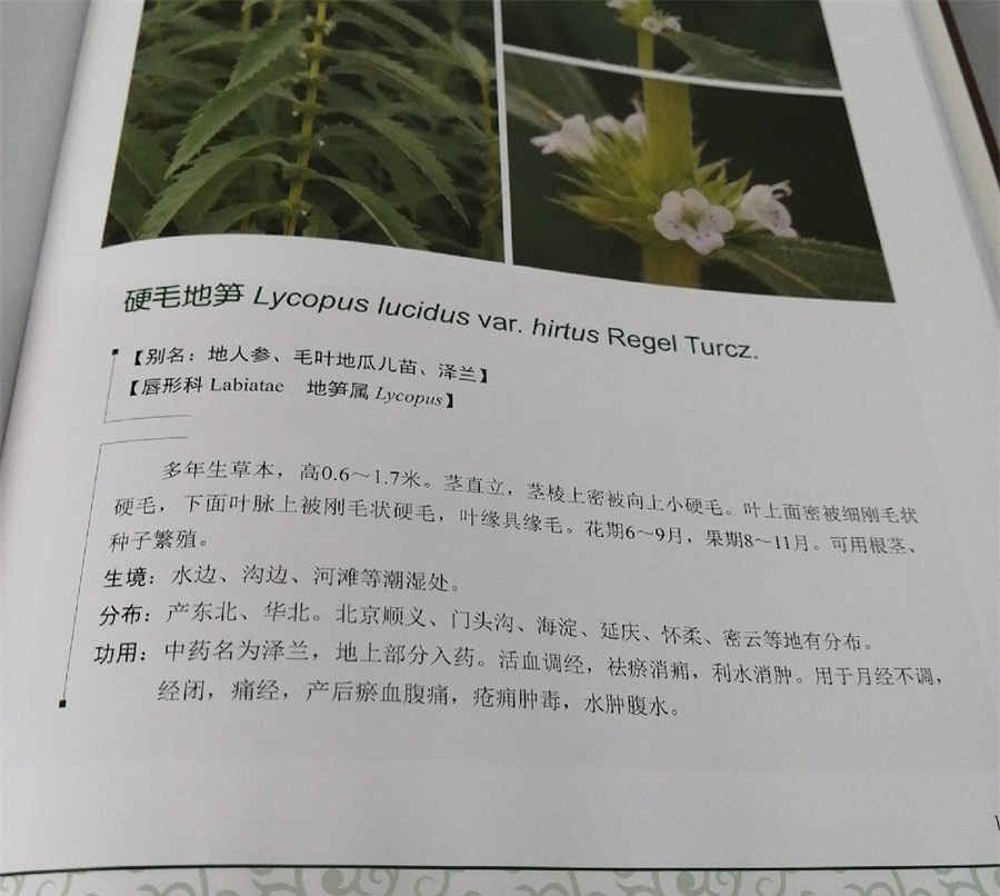 龟肉 龟肉 龟肉 龟肉