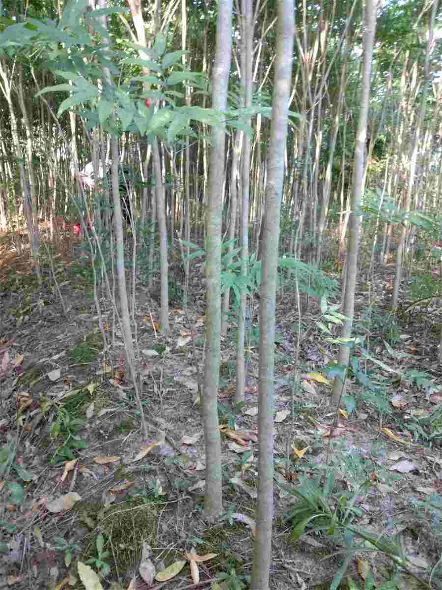 非盈利组织,非营利组织有哪些 非盈利组织与非营利组织的区别 非盈利组织,非营利组织有哪些 非盈利组织与非营利组织的区别