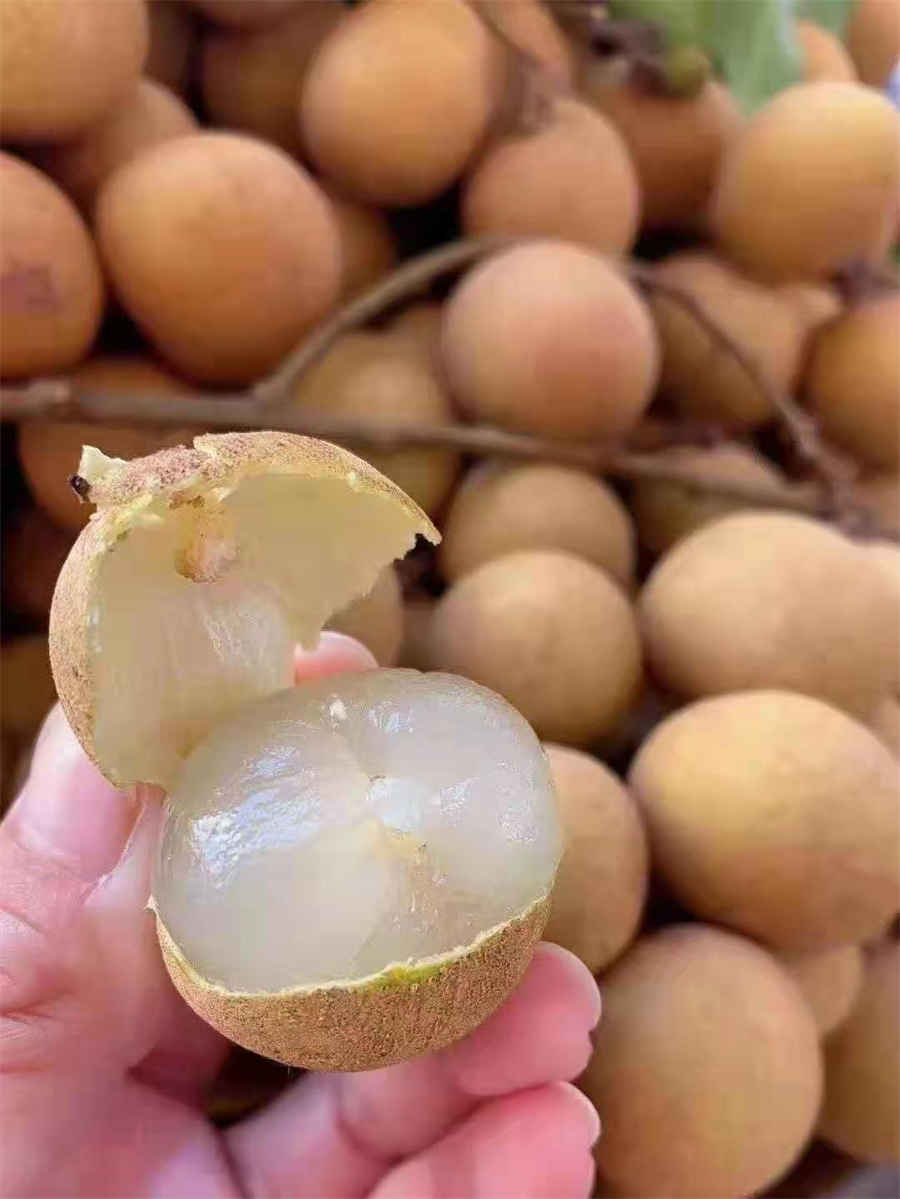 咽喉壅塞 咽喉闭塞之灾是什么意思 咽喉壅塞 咽喉闭塞之灾是什么意思