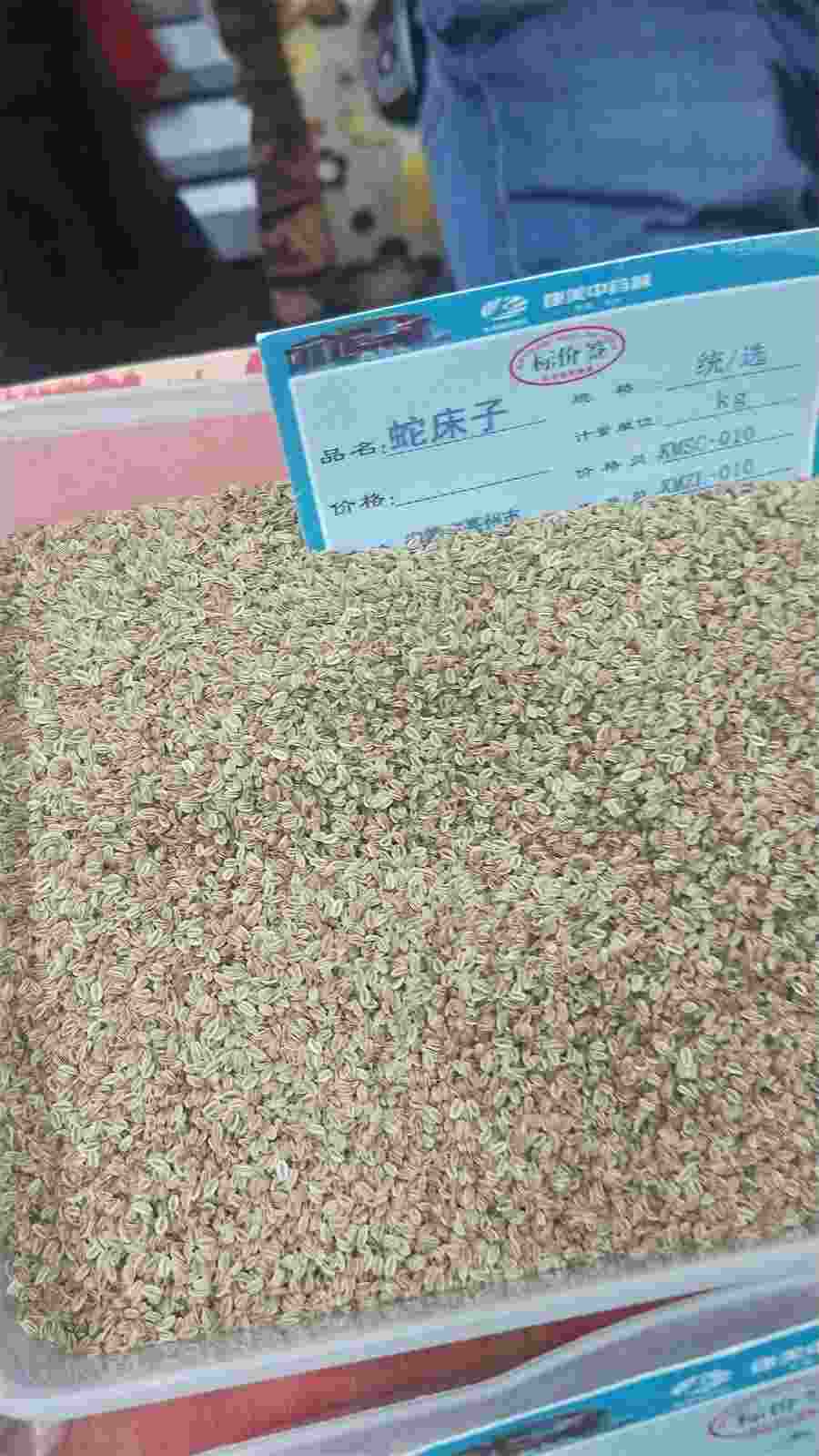 奶思是什么意思(奶思是什么意思英语) 奶思是什么意思(奶思是什么意思英语)