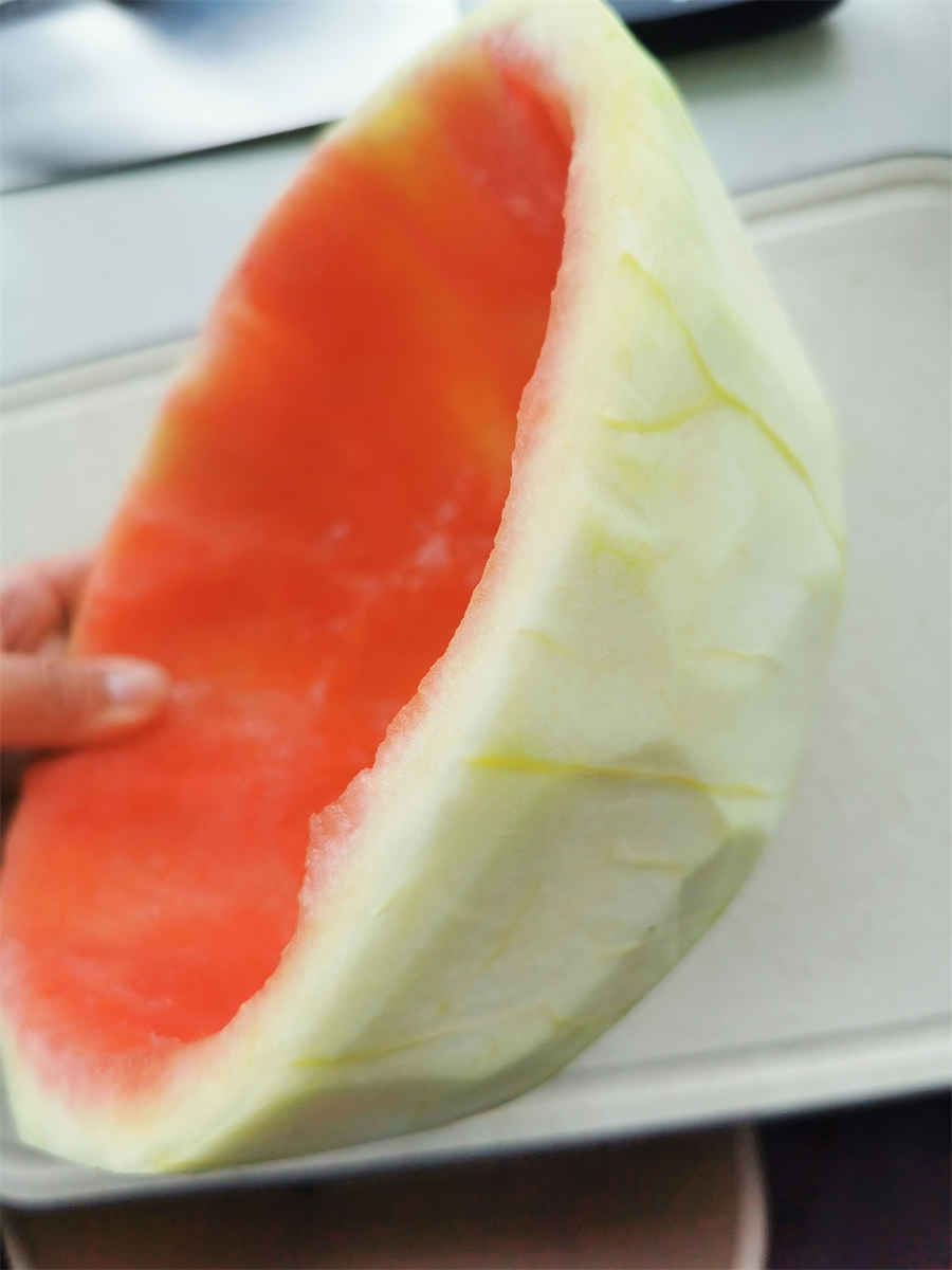 劳动关系与雇佣关系的概念、特征及构成 劳动关系与雇佣关系的概念、特征及构成