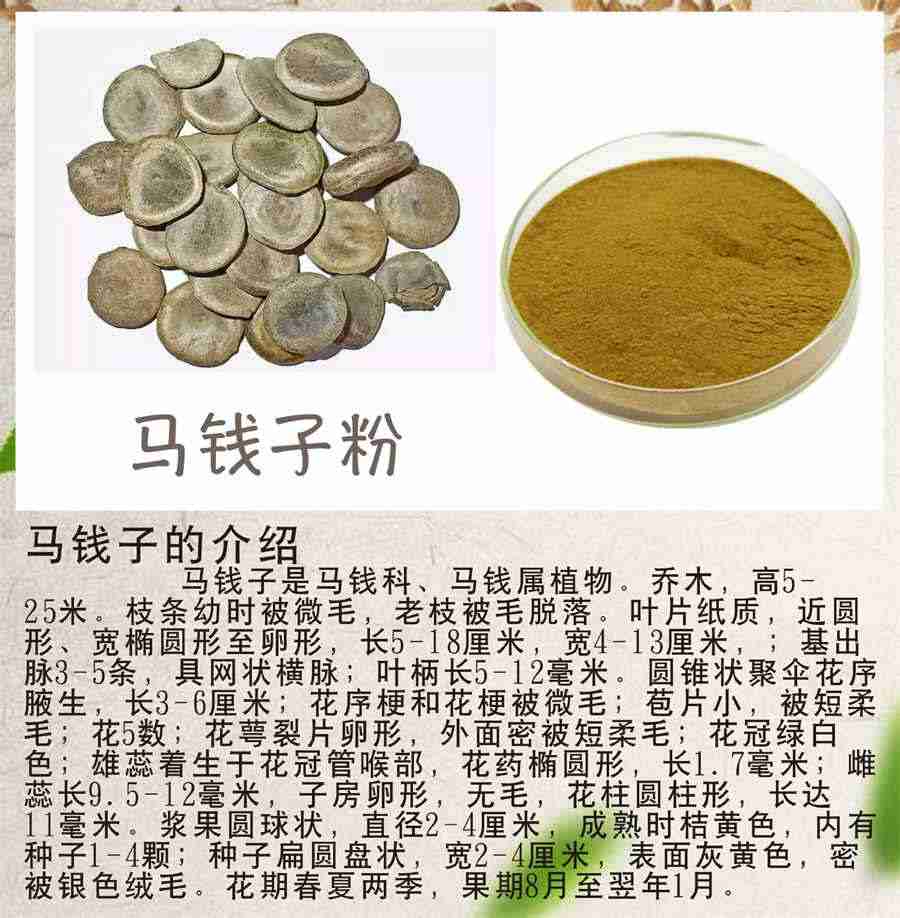 马心 马心 马心 马心