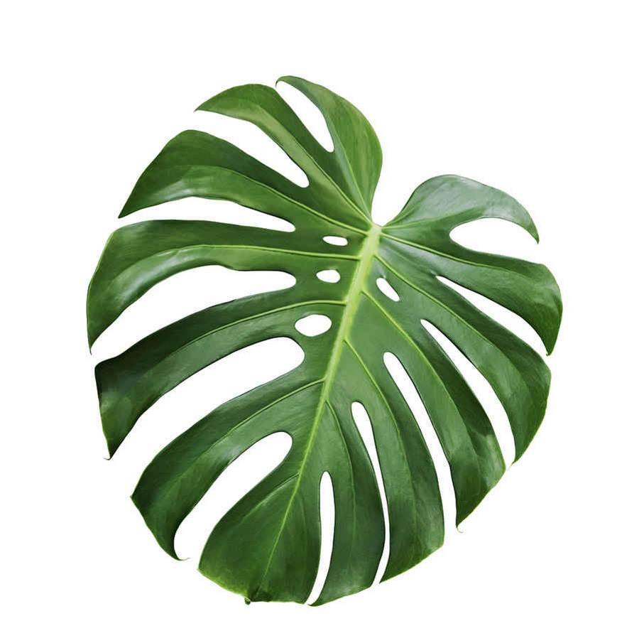 教你做干炸蘑菇,干炸鲜磨怎么做 教你做干炸蘑菇,干炸鲜磨怎么做