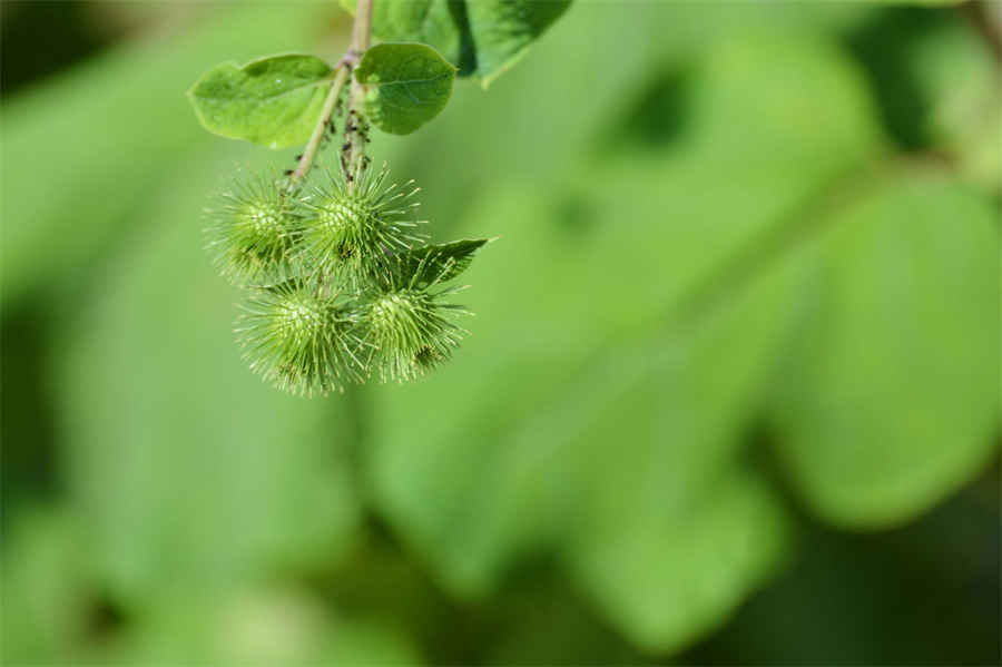 万能聊天开场白正能量 万能聊天开场白技巧 万能聊天开场白正能量 万能聊天开场白技巧