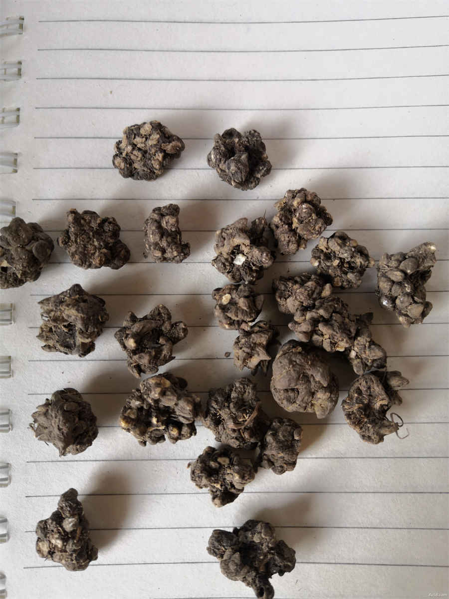 木瓜二百四十七 木百 木瓜二百四十七 木百