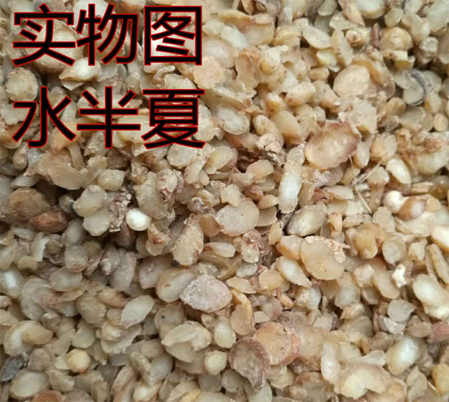 第一篇 血液学检查 血液学 第一篇 血液学检查 血液学
