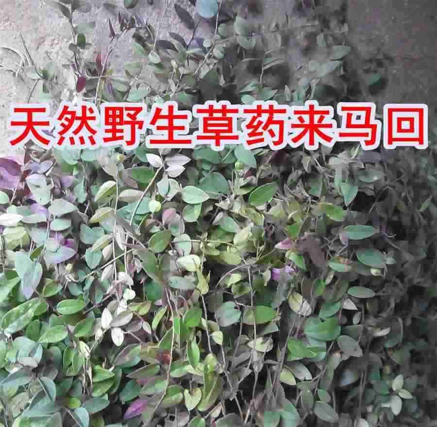 工会经费计税依据和计算公式(工会经费计税依据怎么算) 工会经费计税依据和计算公式(工会经费计税依据怎么算)