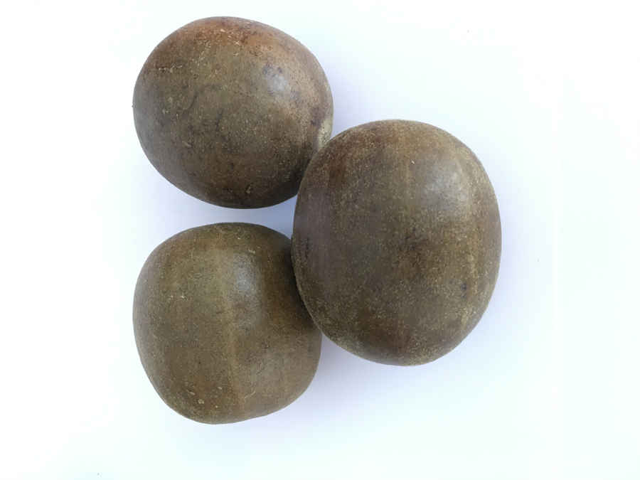 人参年龄鉴别中药材真假好坏鉴别方法 人参年龄鉴别中药材真假好坏鉴别方法