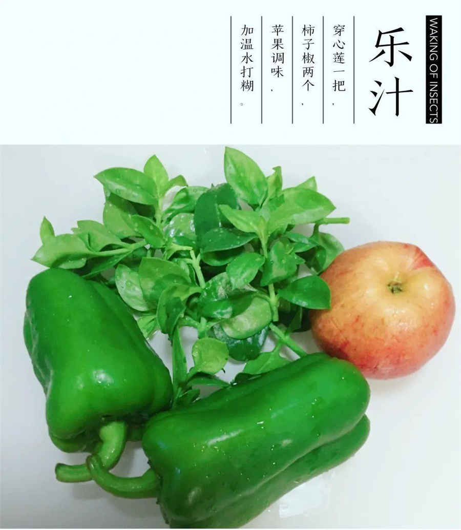 水菖蒲 水菖蒲图片 菖蒲的拼音 水菖蒲 水菖蒲图片 菖蒲的拼音