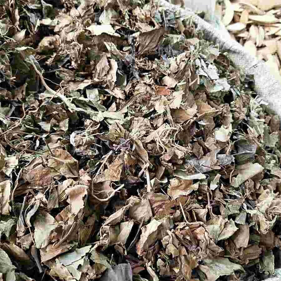 鲜石斛应该怎么吃?教你7种吃法总有适合您中药材使用方法中药材的正确吃法 鲜石斛应该怎么吃?教你7种吃法总有适合您中药材使用方法中药材的正确吃法