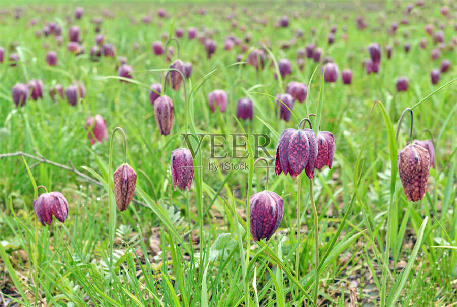 河南省中医药研究院 河南省中医药研究院附属医院范军铭 河南省中医药研究院 河南省中医药研究院附属医院范军铭