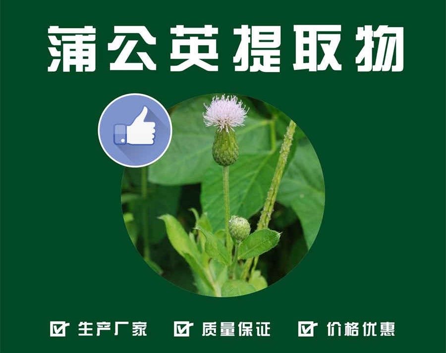 「安哥拉狮」亚洲狮居住在哪 「安哥拉狮」亚洲狮居住在哪