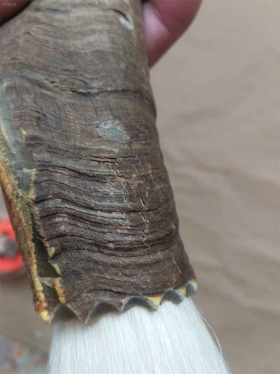 腌鱼的做法家常做法怎么做好吃 腌鱼的做法大全 腌鱼的做法家常做法怎么做好吃 腌鱼的做法大全