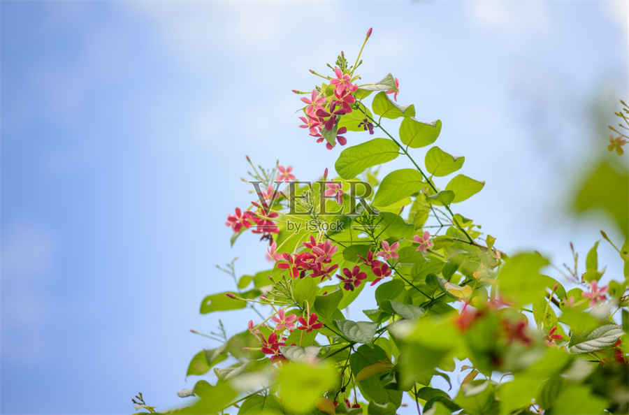 水洗唛是什么布料 洗唛 水洗唛是什么布料 洗唛