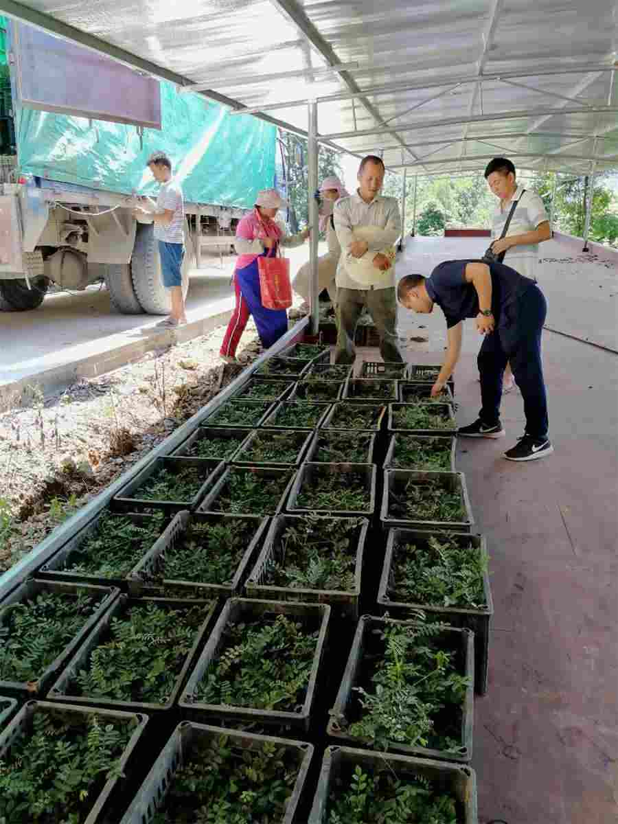 电路是什么意思电路的解释汉语词典 你知道什么是电路吗 电路是什么意思电路的解释汉语词典 你知道什么是电路吗