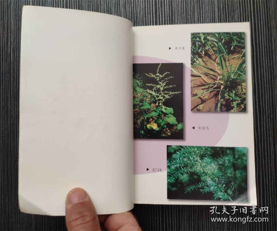 苹果xs是单卡还是双卡 苹果XS双卡还是单卡 苹果xs是单卡还是双卡 苹果XS双卡还是单卡