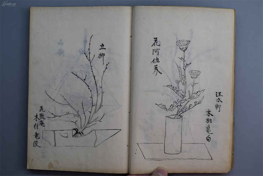 西洋参的5种常用吃法中药材使用方法中药材的正确吃法 西洋参的5种常用吃法中药材使用方法中药材的正确吃法