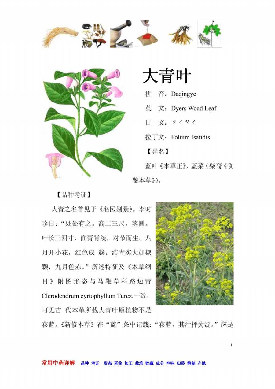 砗磲 砗磲 砗磲 砗磲