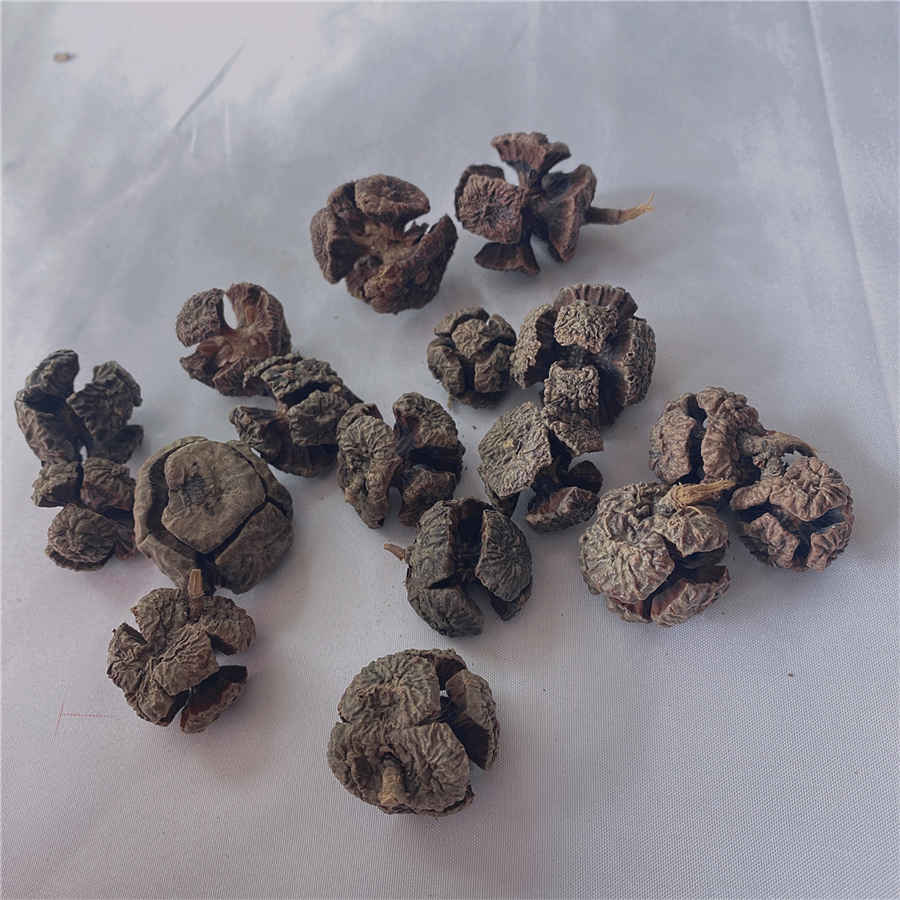 自书遗嘱范本范文大全(一份完整的遗嘱模板) 自书遗嘱范本范文大全(一份完整的遗嘱模板)