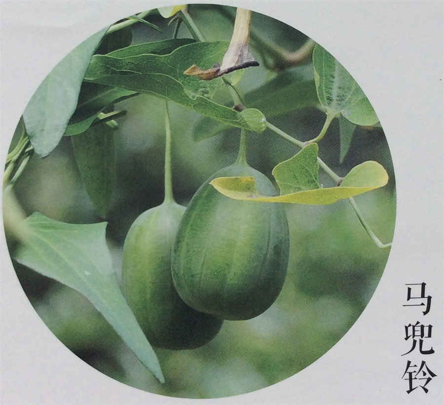 独特是什么意思独特的解释汉语词典 独特是什么意思解释一下 独特是什么意思独特的解释汉语词典 独特是什么意思解释一下