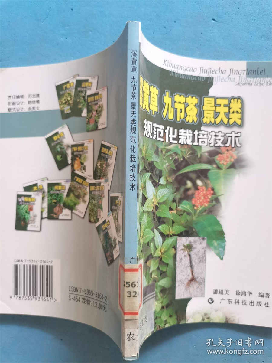 中国去俄罗斯需要签证吗?俄罗斯商务签证所需的材料是什么? 中国公民去俄罗斯是免签还是落地签 中国去俄罗斯需要签证吗?俄罗斯商务签证所需的材料是什么? 中国公民去俄罗斯是免签还是落地签