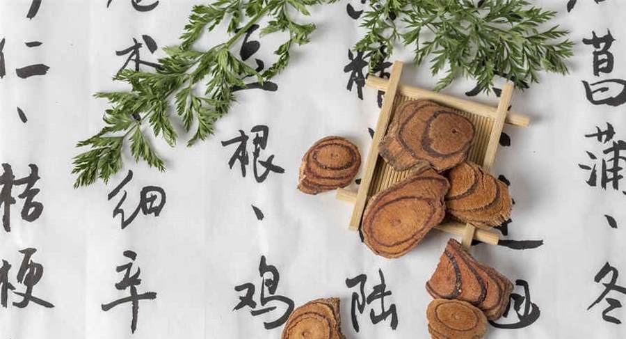 山柳菊 山柳菊无性生殖 山柳菊 山柳菊无性生殖