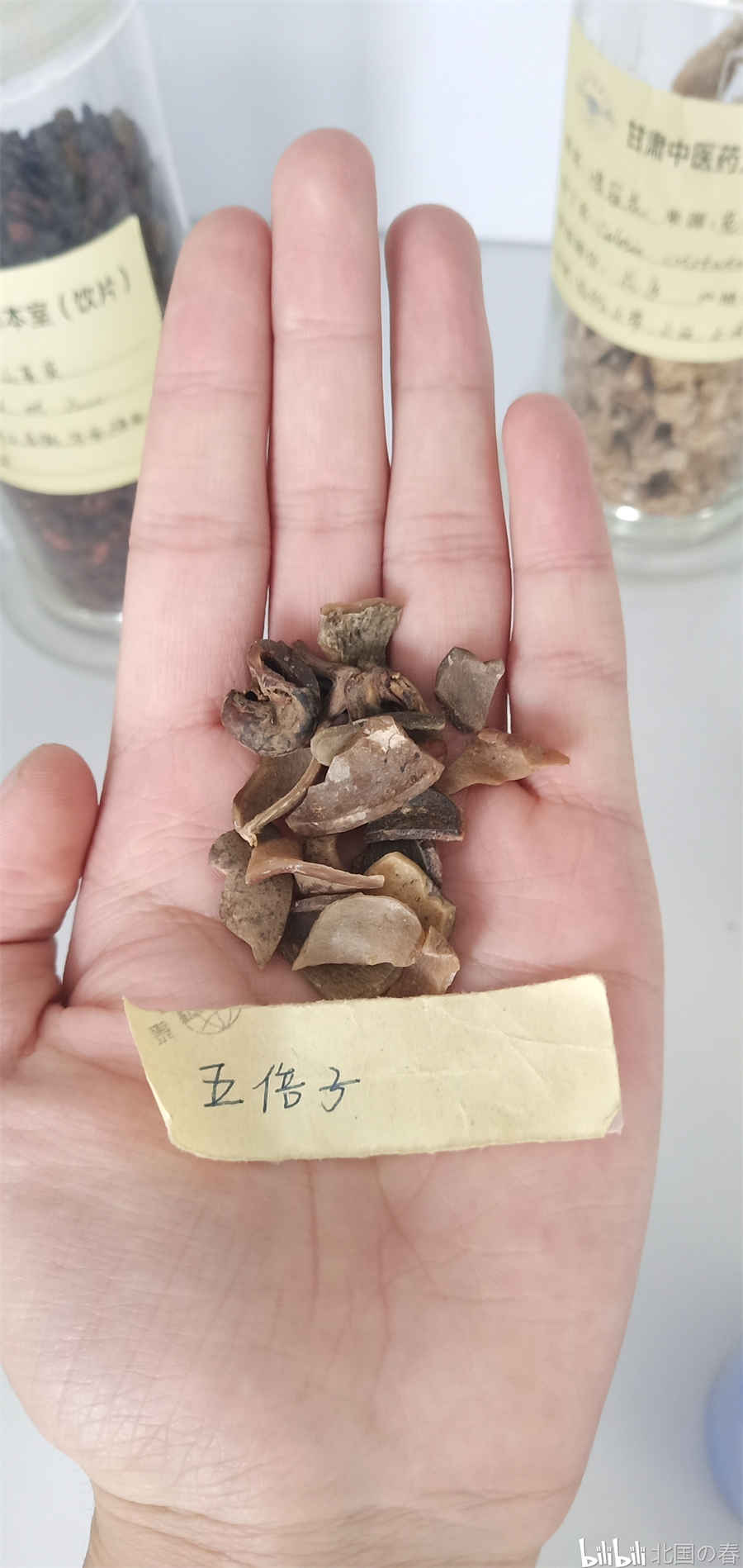 土地承包法怎么规定(新整户消亡土地政策法规) 土地承包法怎么规定(新整户消亡土地政策法规)