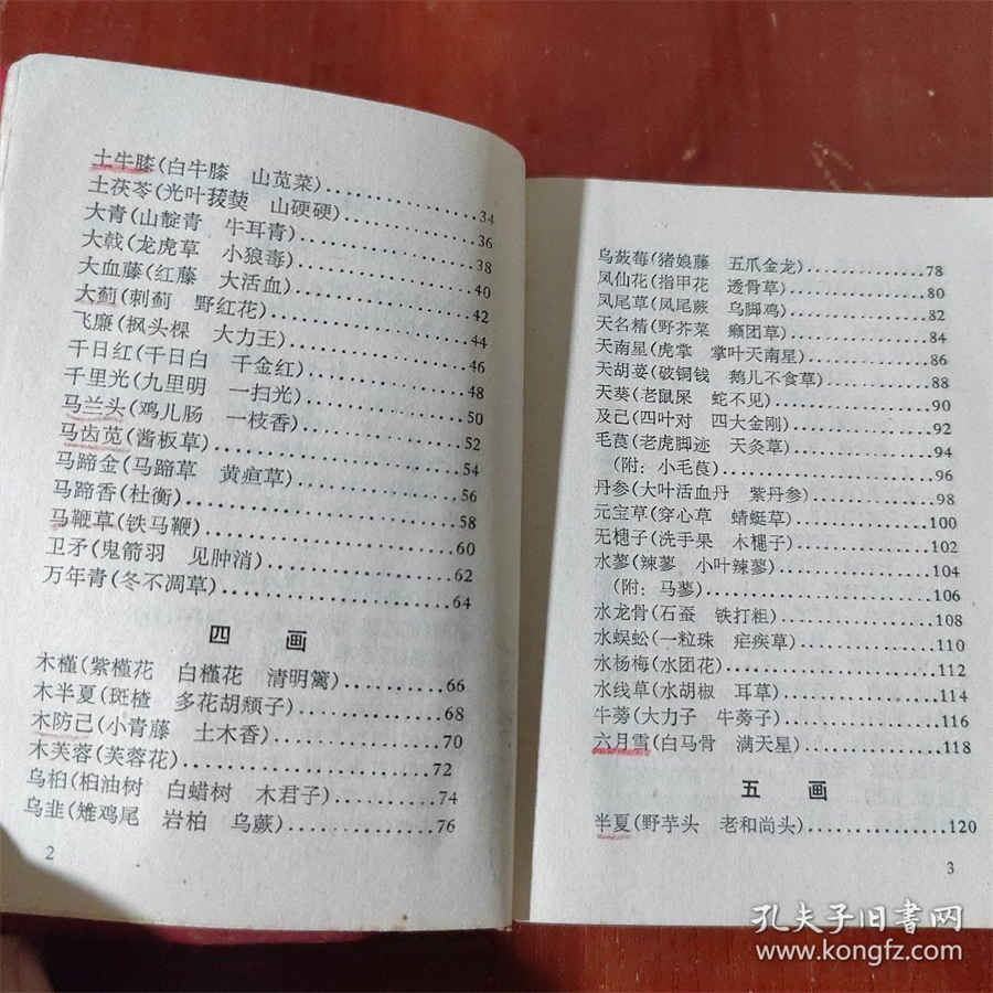 仙百草 百草 仙百草 百草