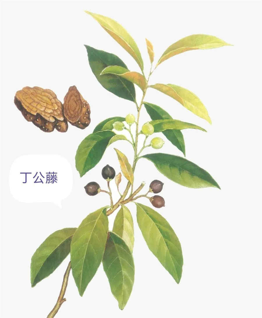 西井幸人简介、明星西井幸人个人资料、明星图片明星资料大全 西井幸人简介、明星西井幸人个人资料、明星图片明星资料大全