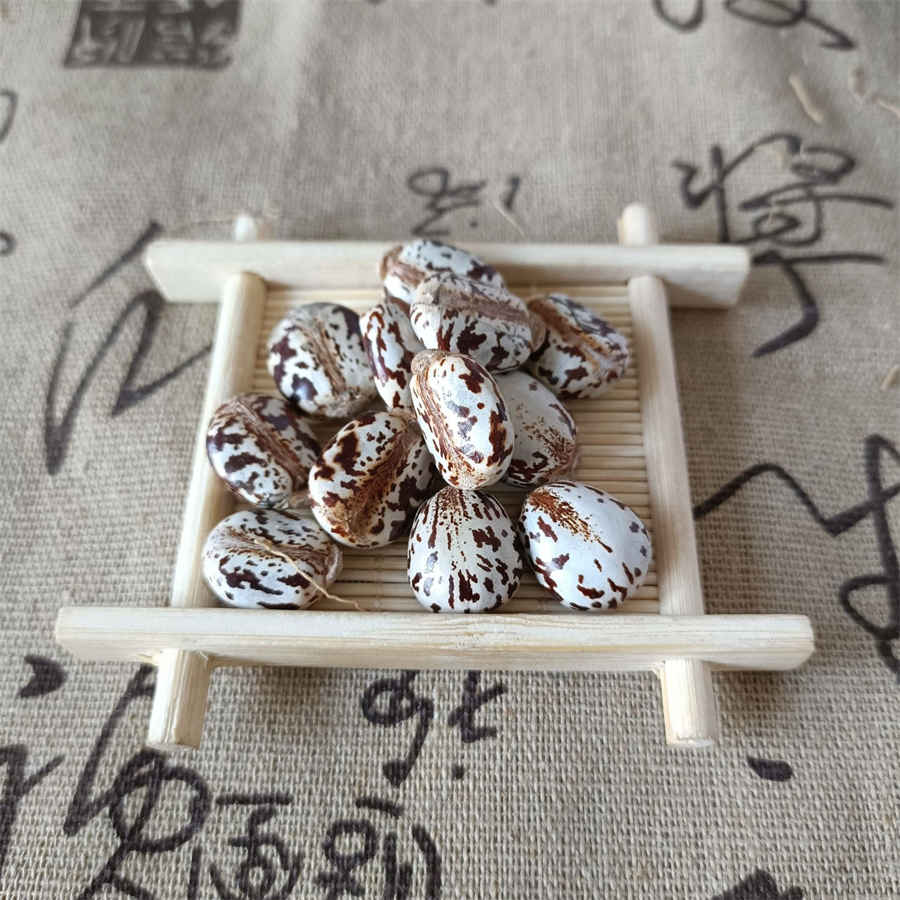 乒乓教练孔令辉怎么了 乒乓教练孔令辉怎么了