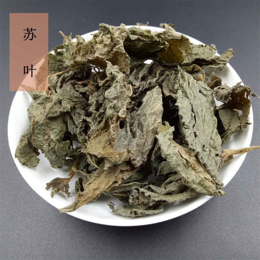 寒假旅游攻略(寒假景点游玩攻略大全) 寒假旅游攻略(寒假景点游玩攻略大全)