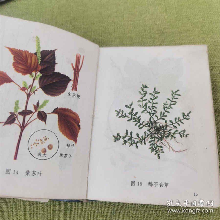 品保是做什么的,电子厂品保是做什么的 厂里品保是什么意思 品保是做什么的,电子厂品保是做什么的 厂里品保是什么意思